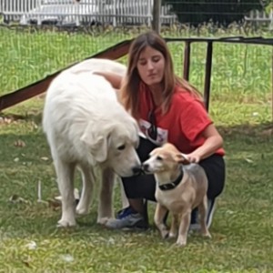  Alice S. è Pet sitter Bassano del grappa (VI), Dog walker Bassano del grappa (VI), Addestratore Bassano del grappa (VI)