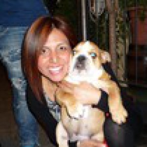 Dog Walker a Firenze (Firenze)