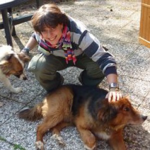 Dog Walker a Cologno monzese (Milano)