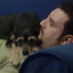 Petsitter a Padova (Padova)
