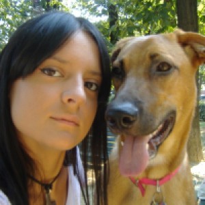 Baby sitter a Milano (Milano)