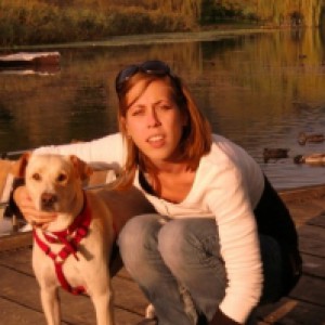 Petsitter a Ferrara (Ferrara)