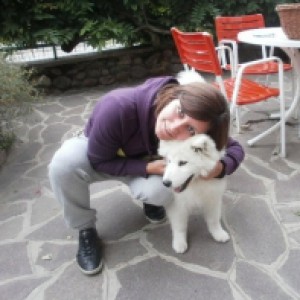 Baby sitter a Brescia (Brescia)