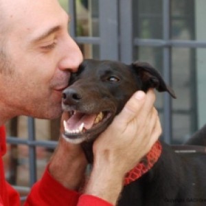 Petsitter a Sesto san giovanni (Milano)