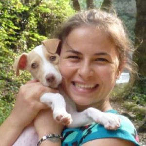 Dog Walker a Camerata picena (Ancona)