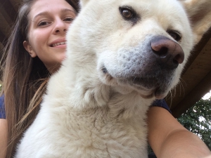 Dog Walker a Treviso (Treviso)