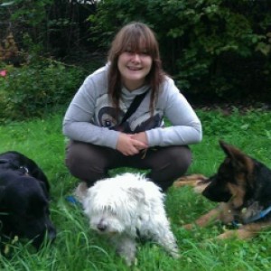 Dog Walker a Milano (Milano)