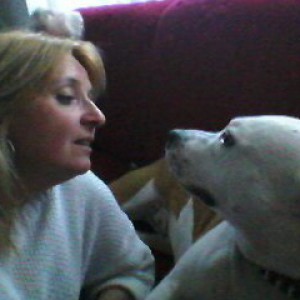 Dog Walker a Milano (Milano)