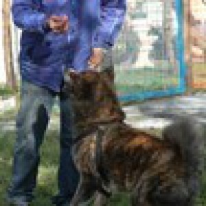 Dog Walker a Roma (Roma)