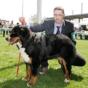 Foto di Danilo, Petsitter a Turate