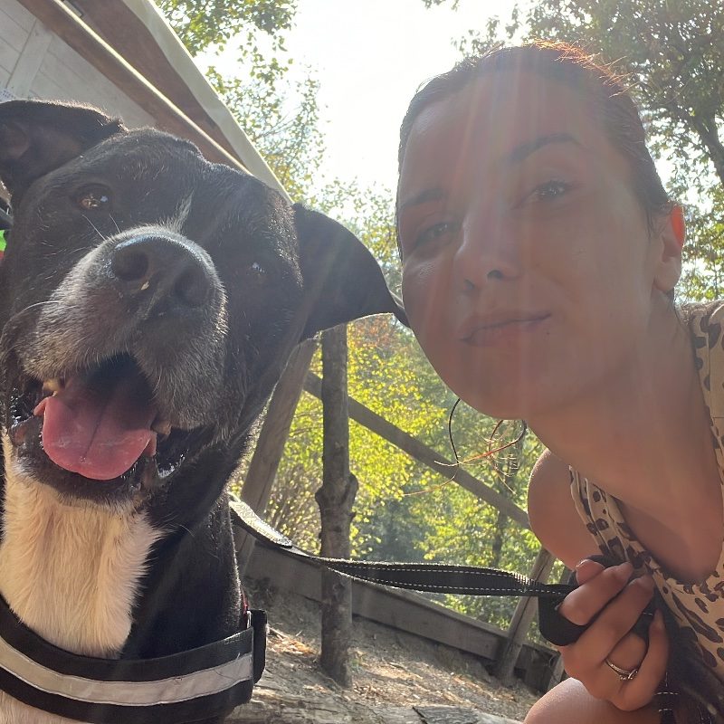 Foto di Gaia, Babysitter a Trecate