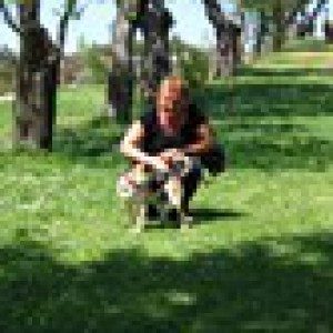 Foto di Moni, Petsitter a Misano adriatico